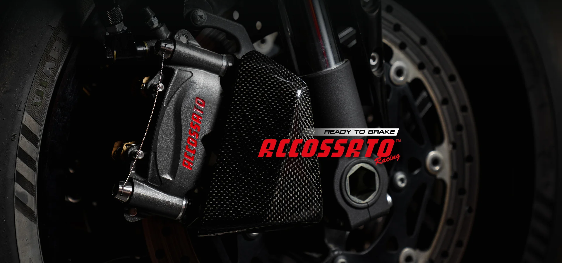 Accossato bannerwebp